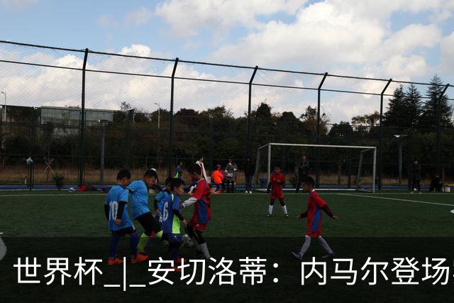 世界杯 | 安切洛蒂：内马尔登场实至名归