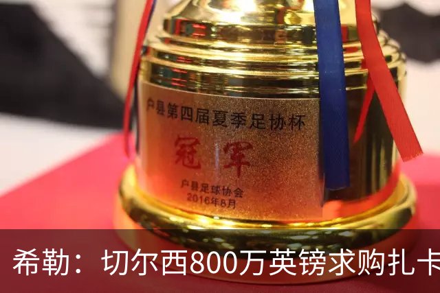 希勒：切尔西800万英镑求购扎卡太离谱，上赛季他是英超最佳之一
